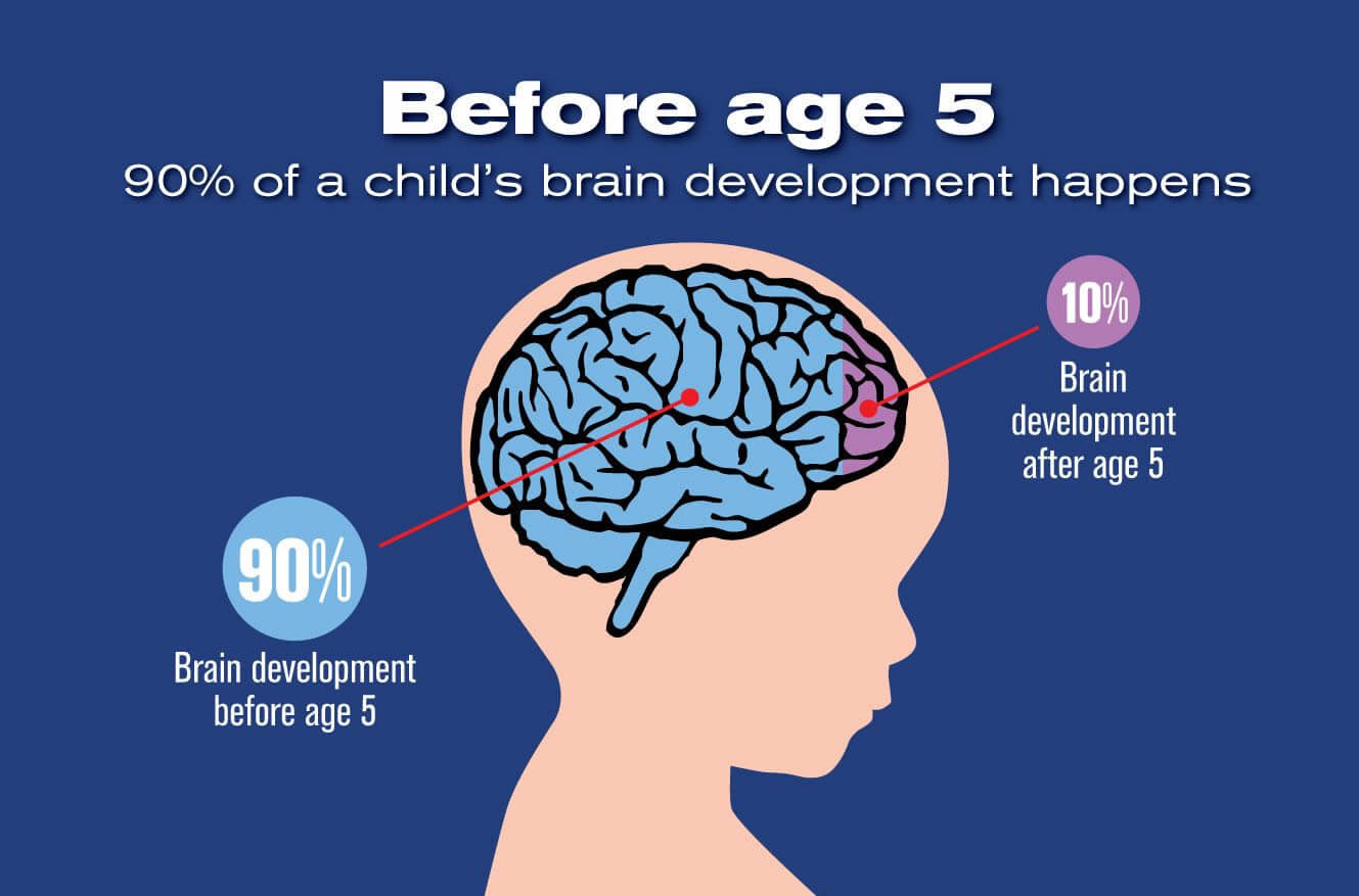 Read more about the article BRAIN DEVELOPMENT IN INFANTS