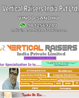 Vertical Raisers India Pvt Ltd