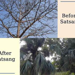 Read more about the article Life before and after joining the Satsang