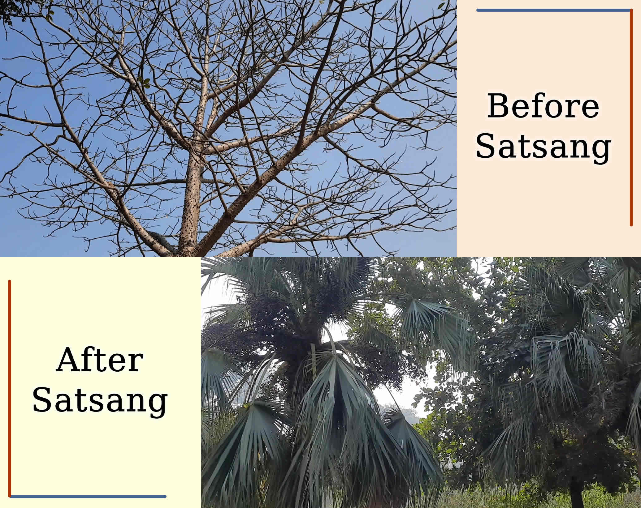 Read more about the article Life before and after joining the Satsang