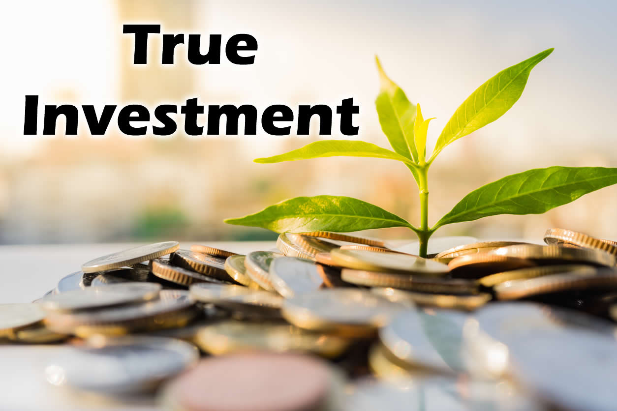 Read more about the article True Investment